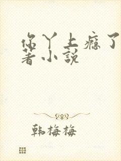 你丫上瘾了有原著小说