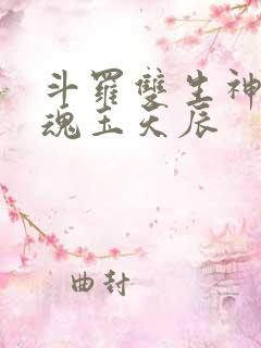 斗罗双生神级武魂玉天辰