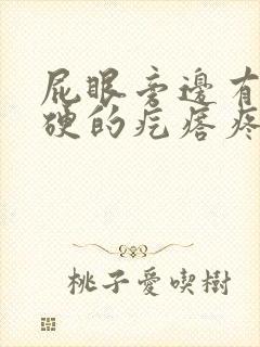屁眼旁边有个硬硬的疙瘩疼