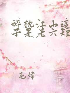 醉枕江山这个皇子是老六短剧