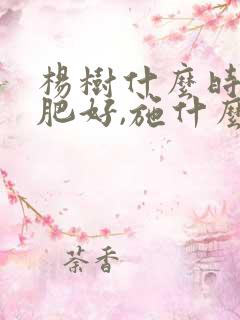 杨树什么时候施肥好,施什么肥好?