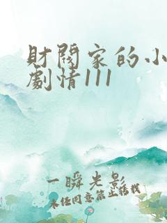 财阀家的小儿子剧情111