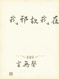 我邪故我在