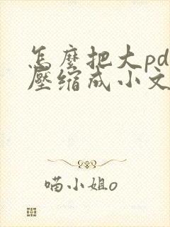 怎么把大pdf压缩成小文件