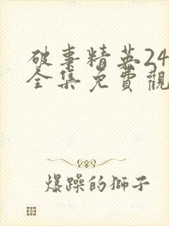 破事精英24集全集免费观看