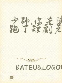 少帅,你老婆又跑了短剧免费大结局