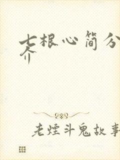 七根心简分集简介