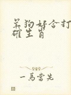 羊狗好合打一准确生肖