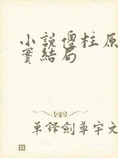 小说傻柱原著真实结局