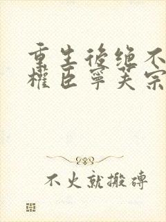 重生后绝不嫁给权臣宁芙宗肆全文