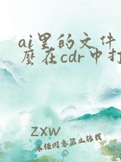 ai里的文件怎么在cdr中打开