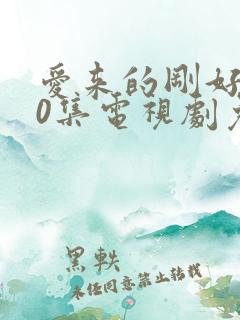 爱来的刚好第60集电视剧免费观看