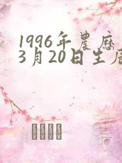 1996年农历3月20日生辰八字