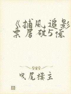 《捕风追影》总票房破5亿