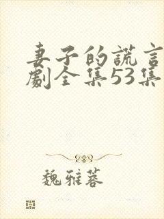 妻子的谎言电视剧全集53集