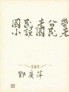 国民老公带回家小说国民老公带回家