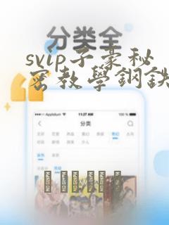 svip子豪秘密教学钢铁网：结局+番外