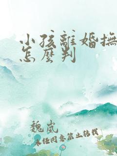 小孩离婚抚养权怎么判
