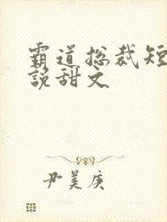 霸道总裁短篇小说甜文