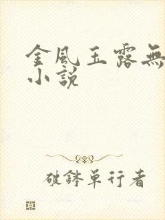 金风玉露无删减小说