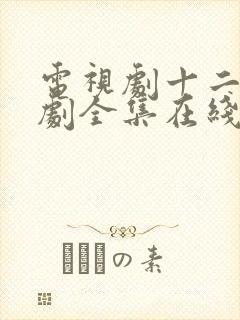 电视剧十二电视剧全集在线观看免费