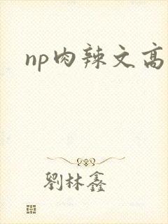 np肉辣文高h