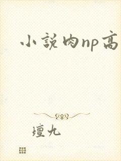 小说肉np高h