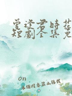 曾逢君时花照眼短剧全集免费看