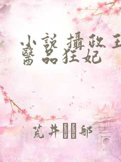小说 摄政王的医品狂妃