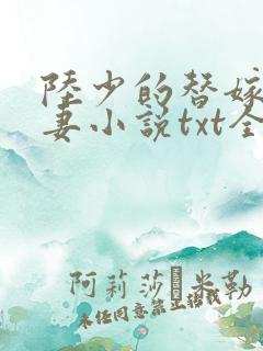 陆少的替嫁小娇妻小说txt全文下载