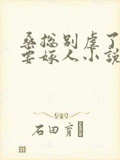 桑总别虐了夫人要嫁人小说