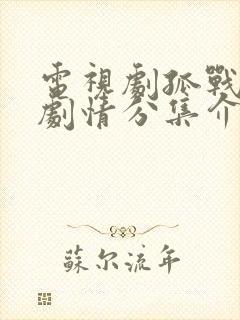 电视剧孤战迷城剧情分集介绍