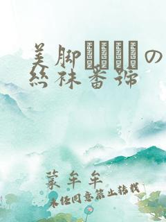 美脚パンストの丝袜番号