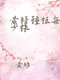 黄精种植每亩多少株