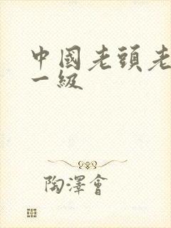 中国老头老太婆一级