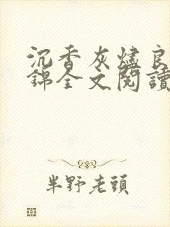 沉香灰烬良陈美锦全文阅读