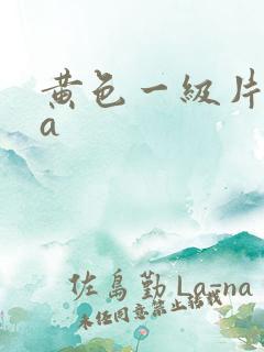 黄色一级片aaa