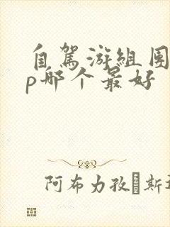 自驾游组团app哪个最好