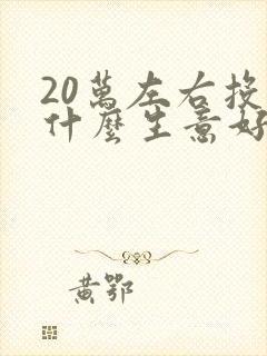 20万左右投资什么生意好