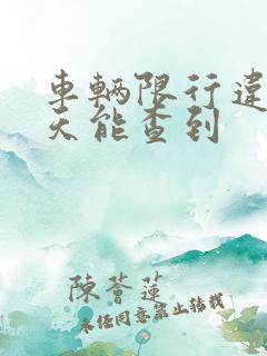 车辆限行违章几天能查到