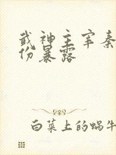 武神主宰秦尘身份暴露