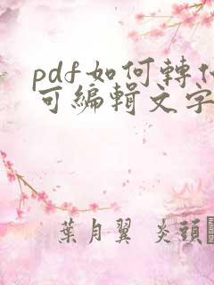 pdf如何转化可编辑文字的word