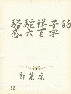 骆驼祥子的读后感六百字