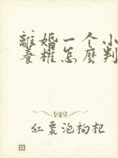 离婚一个小孩抚养权怎么判