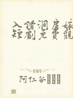入错洞房嫁对郎短剧免费观看