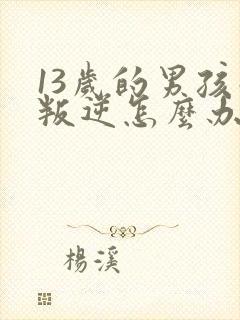 13岁的男孩子叛逆怎么办