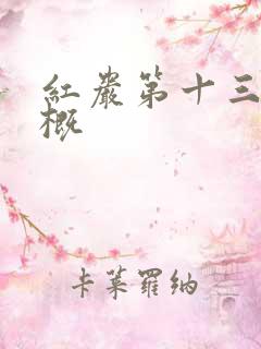 红岩第十三章梗概