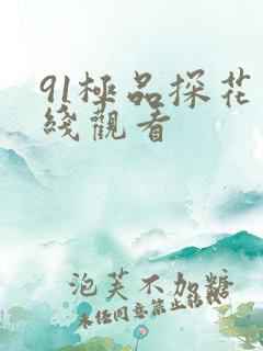 91极品探花在线观看