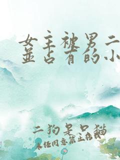 女主被男二欺负并占有的小说