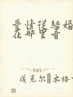 爱情从结婚开始在哪里看